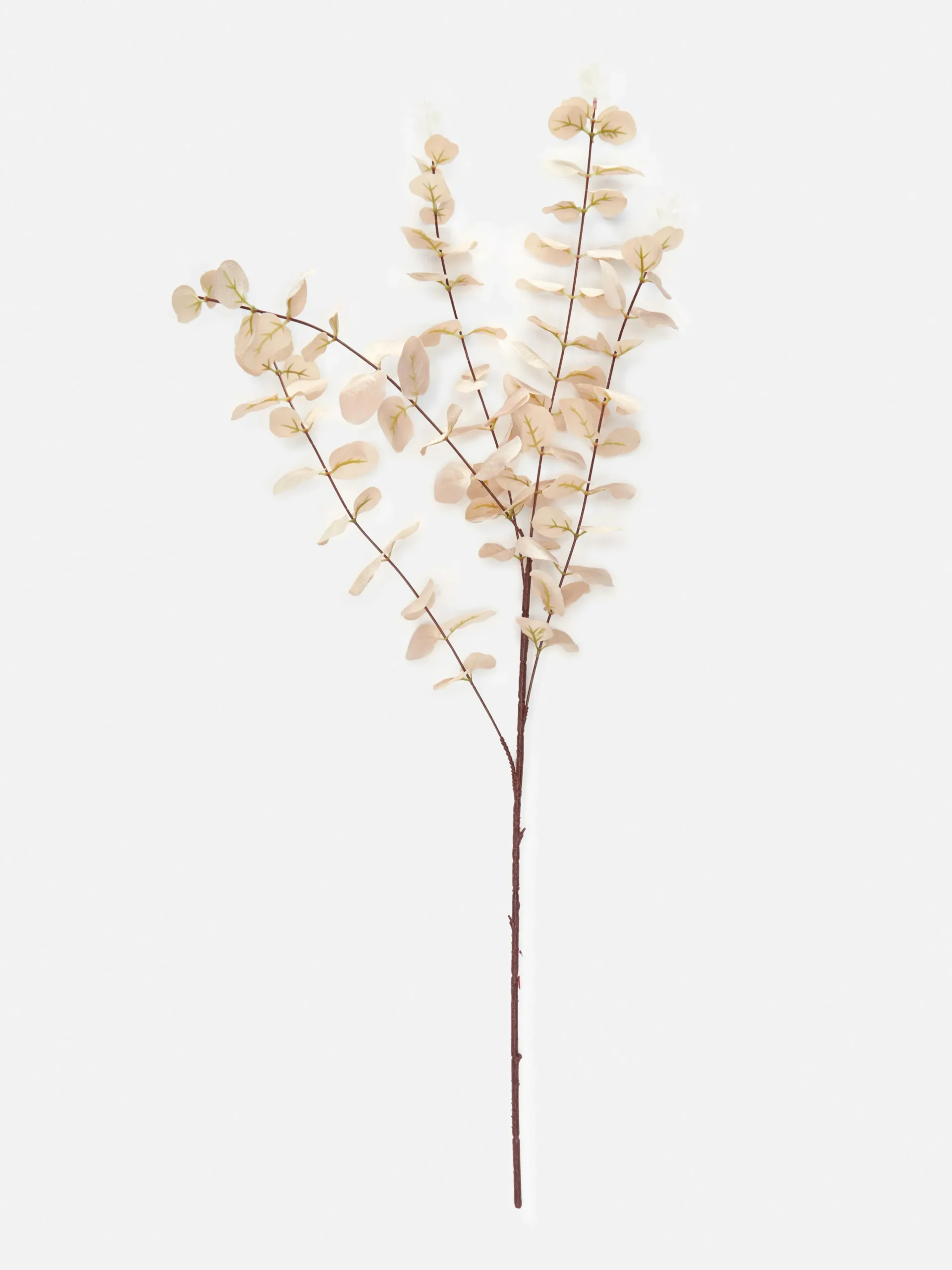 Einstieliger Künstlicher Eukalyptus Halloween-Deko Und Süßigkeiten|Halloween Alle