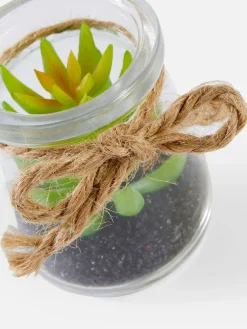 Clearance Kleine Glasvase Mit Sukkulentenimitat Kunstpflanzen Und -Blumen