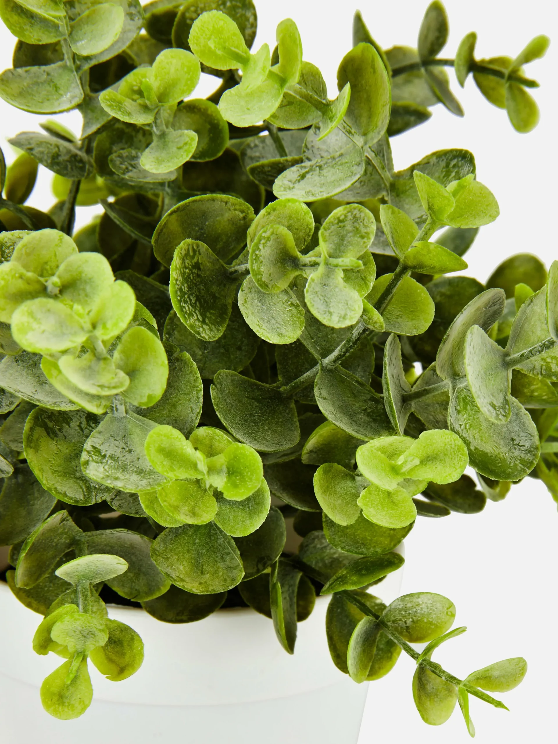 Clearance Kleine Künstliche Eukalyptuspflanze Kunstpflanzen Und -Blumen