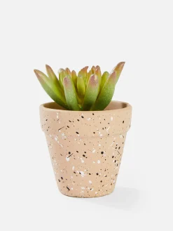 Kleine Künstliche Sukkulente Kunstpflanzen Und -Blumen