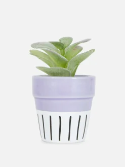 Künstliche Sukkulente In Buntem Topf Kunstpflanzen Und -Blumen