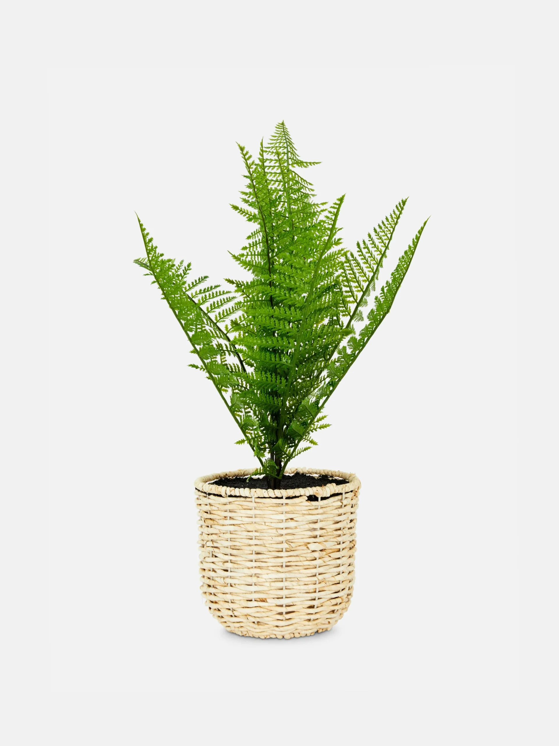 Best Kunstfarn In Geflochtenem Korb Kunstpflanzen Und -Blumen