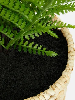 Best Kunstfarn In Geflochtenem Korb Kunstpflanzen Und -Blumen