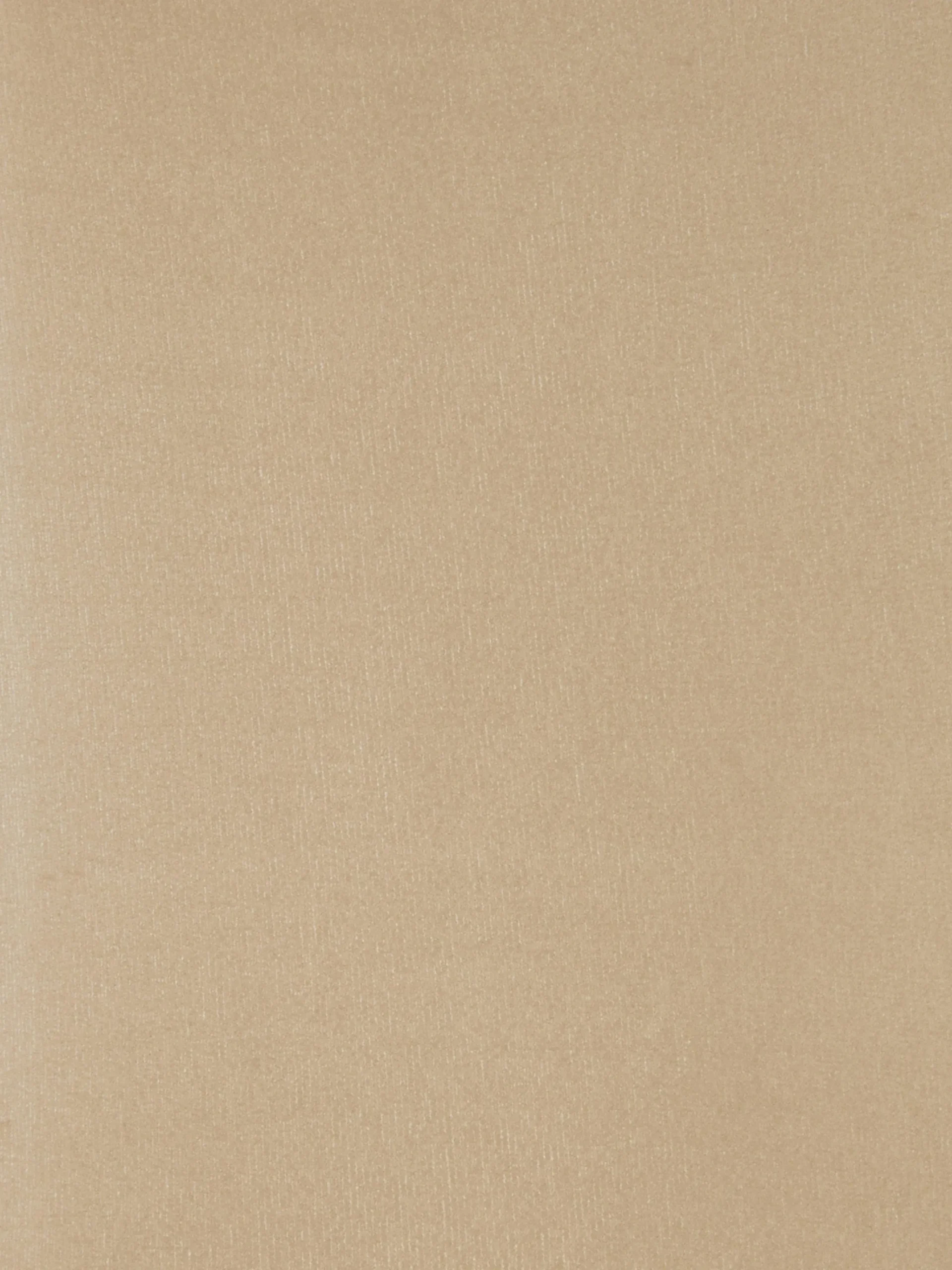 Clearance Luxuriöse „The Edit“ Strumpfhose Damen Strumpfhosen