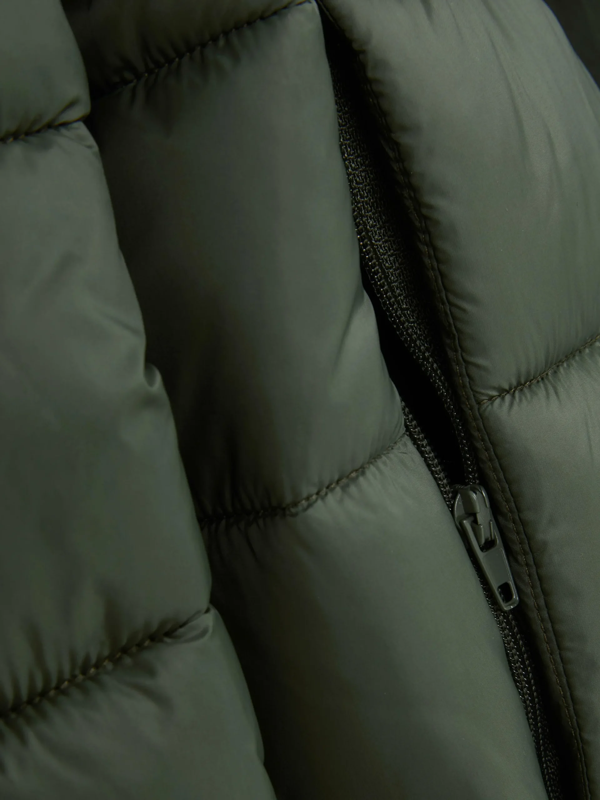 Pufferjacke Mit Kapuze Herren Jacken Und Mäntel