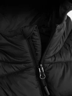 Outlet Pufferjacke Mit Kapuze Herren Jacken Und Mäntel